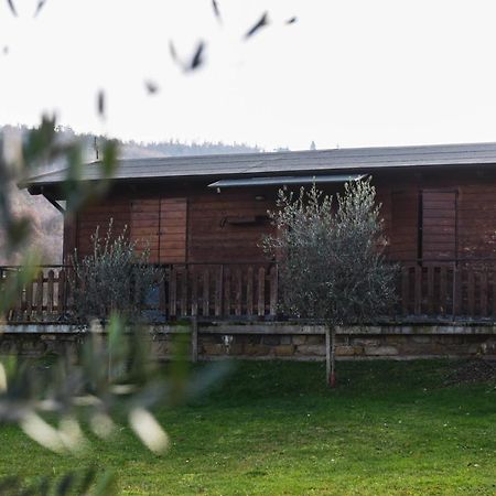 Agriturismo Ponte Di Riocchio 구비오 외부 사진